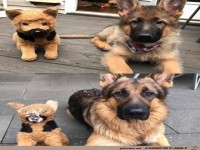 Kleine Ver�nderungen