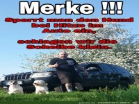 Bei der Hitze keine Hunde und Kinder alleine im Auto lassen