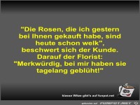 Die Rosen, die ich gestern bei Ihnen gekauft habe, sind...