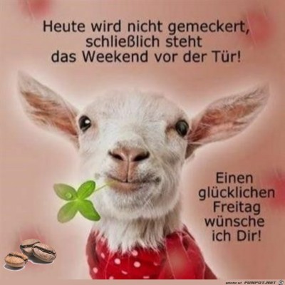 Heute-wird-nicht-gemeckert.jpg von Maddin2004