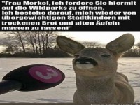 Wildparks m�ssen wieder ge�ffnet werden