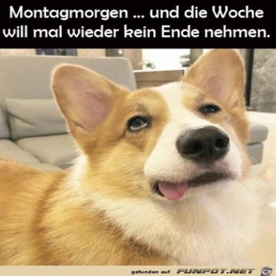 Montagmorgen.jpg von Emilia