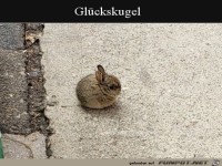 Glckskugel