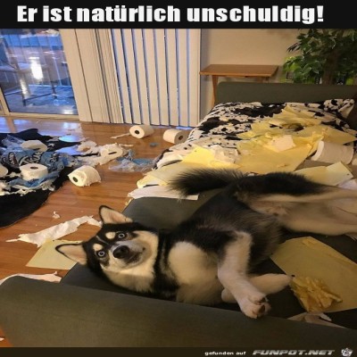 Er-war-das-nicht.jpg von Alya