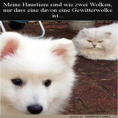 Zwei-Wolken.jpg von Emir
