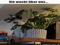 W�chter hinter der Pflanze
