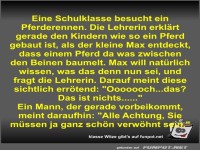 Eine Schulklasse besucht ein Pferderennen