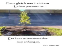 Baumstumpf gibt nie auf!