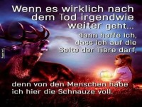 Im Afterlife auf der tierischen Seite