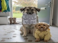 Putzaktion mit �berraschungen