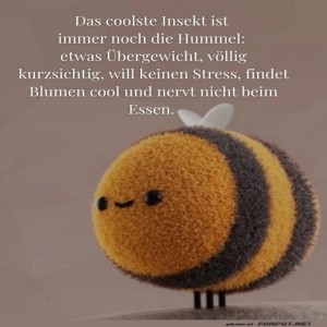 fun-Bild: Das coolste Insekt