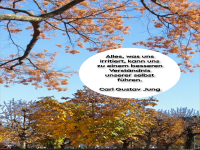 alles, was uns irritiert