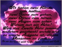Wir haben zwei Haende