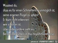 Wu�test Du, dass es f�r einen Schmetterling