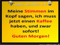 guten morgen
