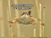Jean-Claude...