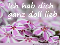 ich-hab-dich-ganz-doll-lieb-bild-lila-blumen