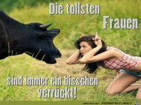 Die tollsten Frauen