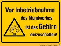 Hirn einschalten