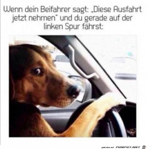 Beifahrer-nervt.jpg auf www.funpot.net