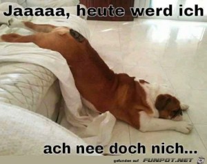 Heute-werde-ich.jpg auf www.funpot.net