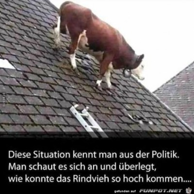 Kennt-man-aus-der-Politik.jpg von Keule56