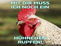 H�hnchen rupfen