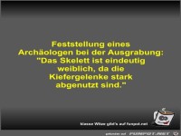 Feststellung eines Arch�ologen bei der Ausgrabung