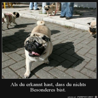 Nichts-Besonderes.jpg von Hannah