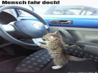 Jetzt fahr doch
