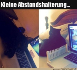 Abstandshalterung-installiert.jpg auf www.funpot.net