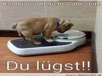 Du l�gst