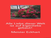 alle Liebe dieser Welt