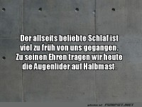 Der beliebte Schlaf