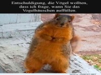Ungeplanter Botschafter der Vogelwelt