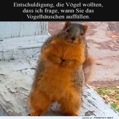 Ungeplanter-Botschafter-der-Vogelwelt.jpg von Bela