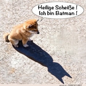 fun-Bild: Wenn der Hund glaubt, er sei Batman!