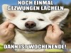 weiter