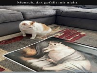 Katzens Kritik: Renaissance-Stil? Nein, danke!