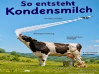 Wolkenkuh auf geheimer Kondensmission