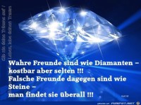 Wahre und falsche Freunde