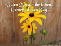 Guten Morgen