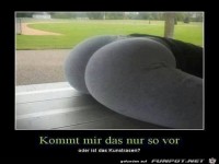 ist-der-rasen-echt