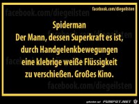diegeilsten Spiderman
