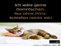 Waere gerne Dornroeschen