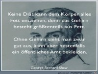 keine Diät kann dem Körper........