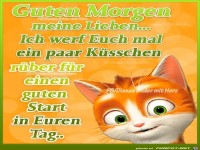 Guten morgen