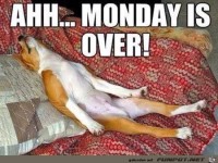 Der Montag ist rum