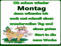 Oh schon wieder Montag