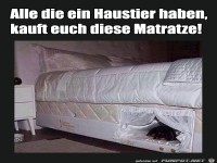 An alle die ein Haustier haben